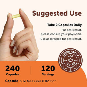 Micro Ingredients Quercetin with Vitamin C & Zinc, 240 Capsules - 6‑in‑1 Formula with Quercetin, Vitamin C & 4 Zinc Forms (Picolinate, Citrate, Glycinate, Gluconate) - Non‑GMO