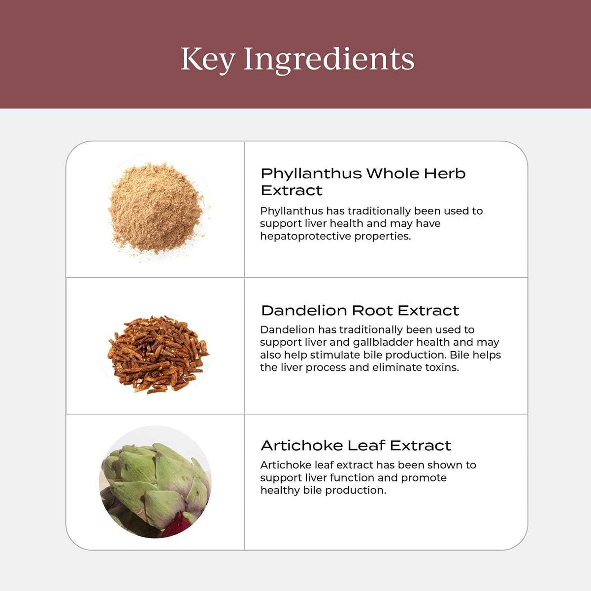 CYMBIOTIKA Liver Health+ for Liver Support, Detox & Digestion