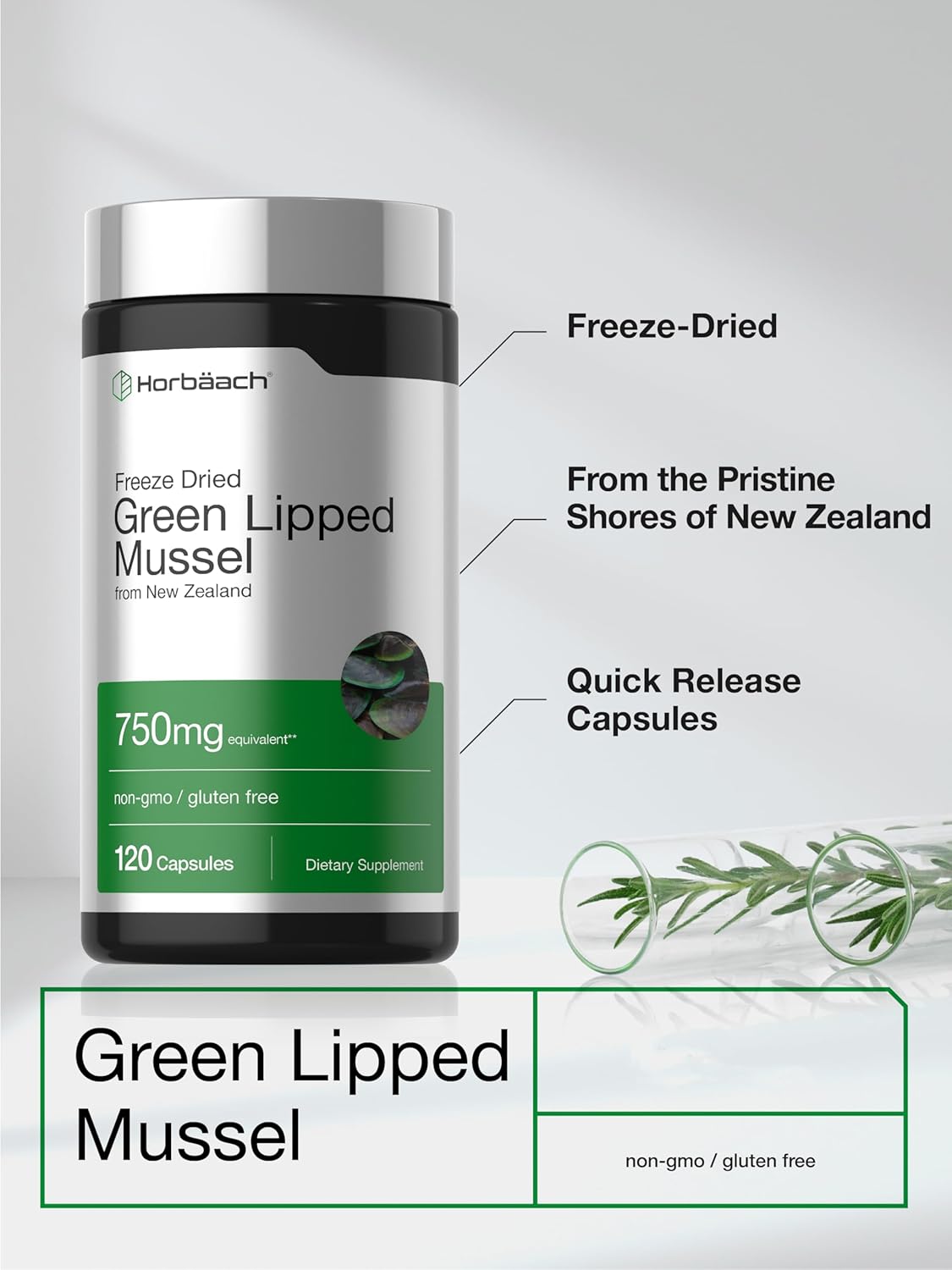 Horbäach Green Lipped Mussel - 120 Capsules - from New Zealand - Premium Freeze Dried Mussel Powder - Non-GMO and Gluten Free