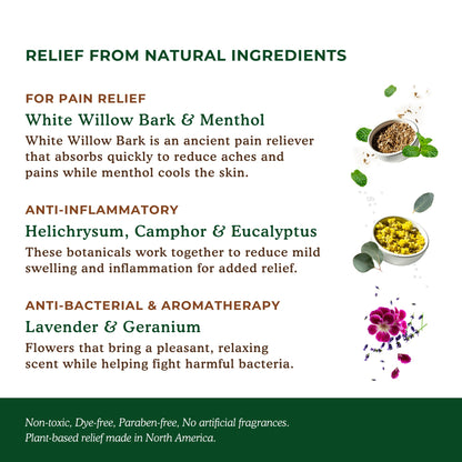 Nature's Willow Willow Balm Natural Pain Relief Cream for Muscles & Joints | Fast-Acting with Willow Bark & Menthol | Free from Artificial Fragrances & Dyes | 3-Pack | 3.5 fl oz
