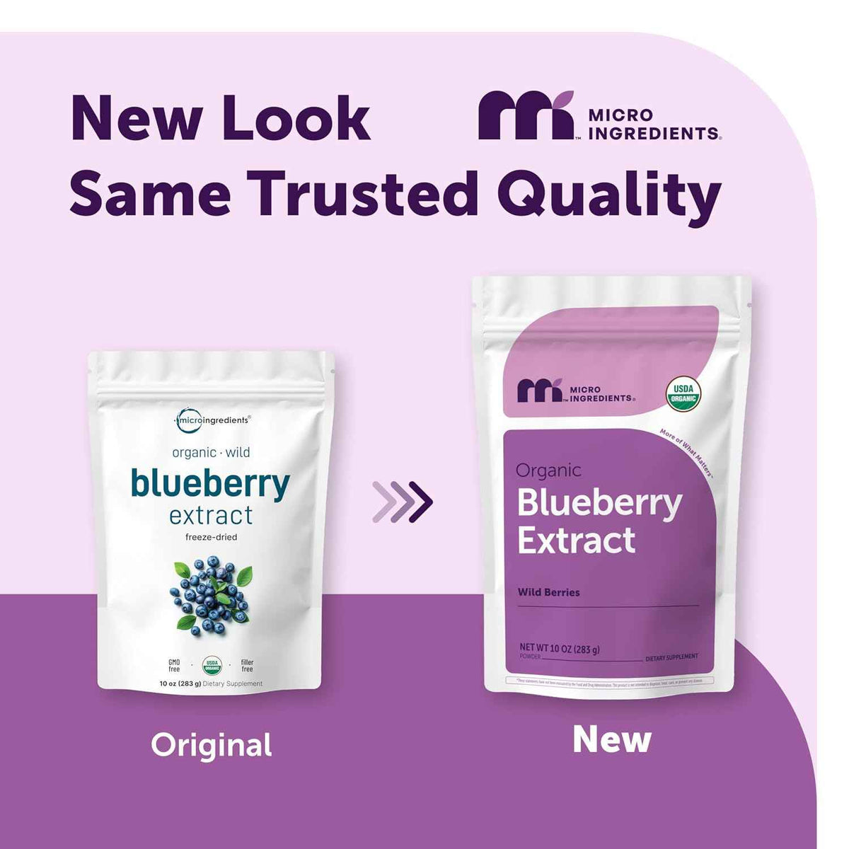 Micro Ingredients Organic Blueberry Extract Powder, 10oz - Natural Fruit Flavor - Freeze-Dried Wild Blueberries Source - No Sugar & Additives - Great for Drinks, Smoothie, & Beverages - Non-GMO & Vegan