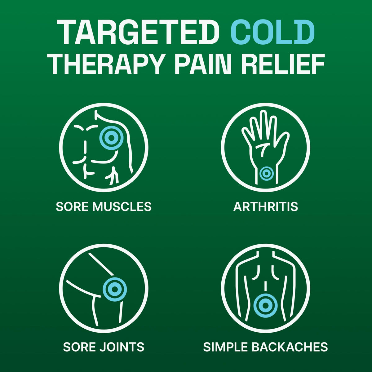 Biofreeze Pain Relief Patch, Large, 5 Patches