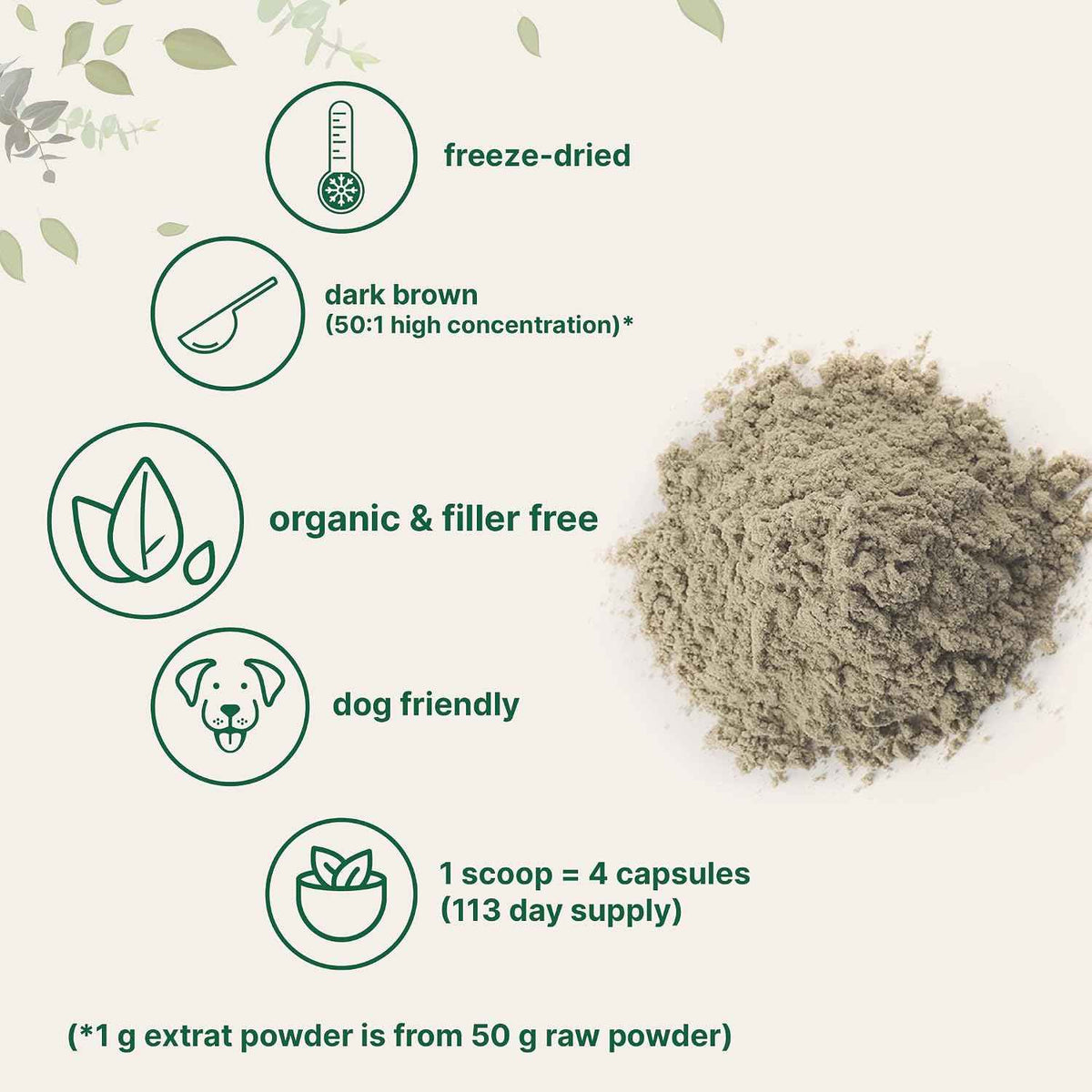 Organic Turkey Tail Mushroom Powder (50:1 Extract), 8 Ounce - Freeze Dried with Active Polysaccharides, Supports Immune Response & Cellular Level, Pet Friendly
