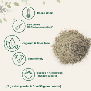 Organic Turkey Tail Mushroom Powder (50:1 Extract), 8 Ounce - Freeze Dried with Active Polysaccharides, Supports Immune Response & Cellular Level, Pet Friendly