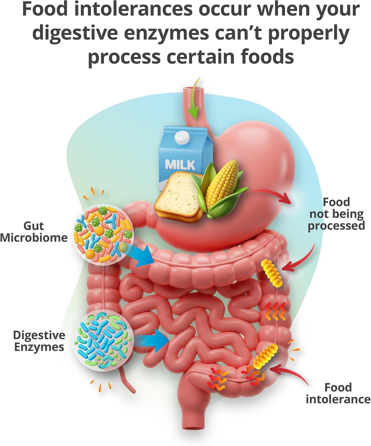 5Strands Food Intolerance Test for Adults & Kids, 800 Items Tested