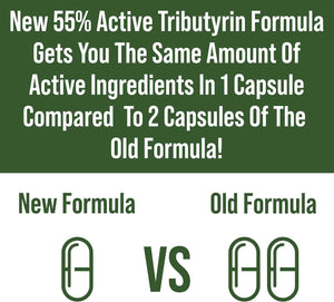 CoreBiome Tributyrin Postbiotic Supplement Clinically Tested for Gut Health. More Effective Than Sodium Butyrate Capsules. High Bioavailability Post Biotics for Digestive, Leaky Gut, Colon, Microbiome