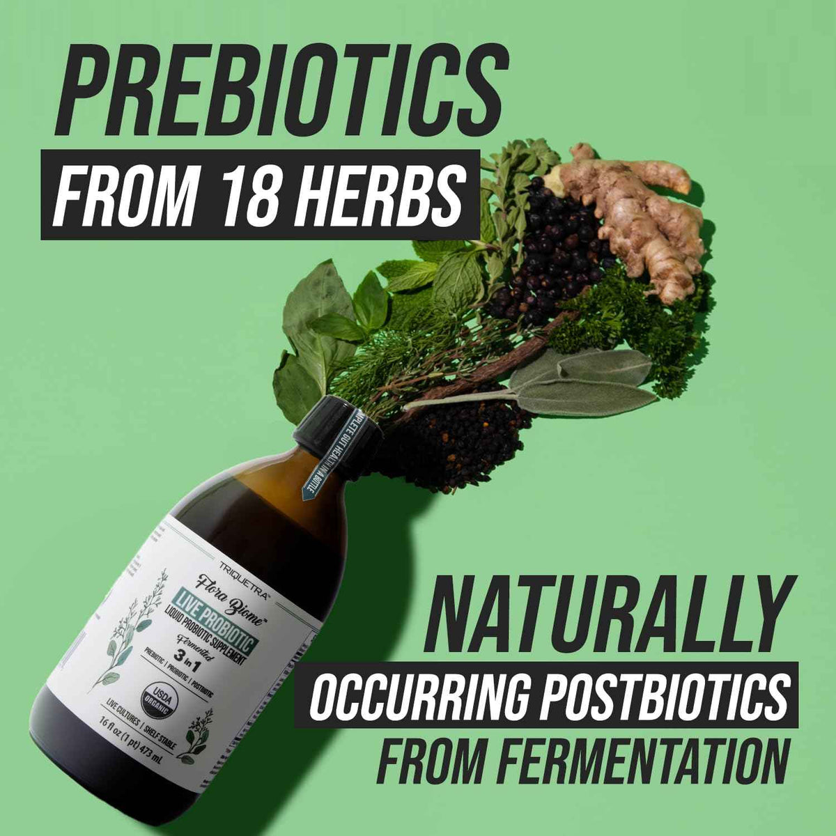 Flora Biome - Live Probiotic, Prebiotic, & Postbiotic - Organic Live-Culture - 10 Probiotic Strains, 18 Fermented Herbs - Complete Gut Health & Microbiome Optimizer (16 oz)