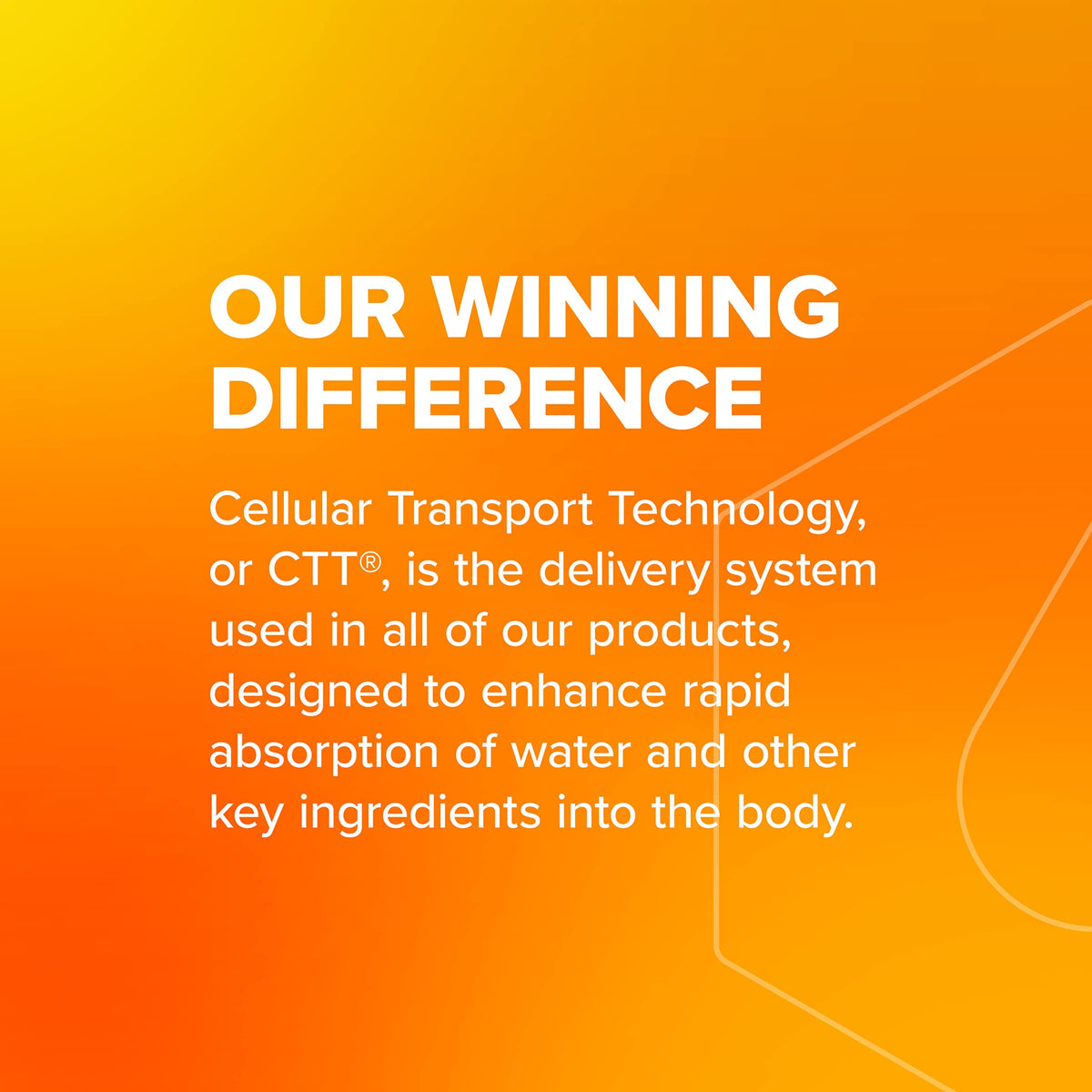 Liquid I.V. Hydration Multiplier + Immune Support - Tangerine - Hydration Powder Packets