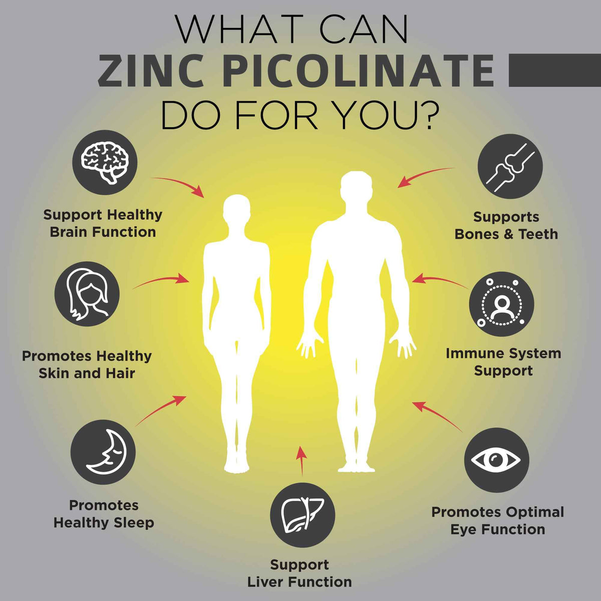 OmniBiotics Zinc Picolinate 30mg Supplement - High Absorption Zinc for Immune System, Healthy Skin, and Energy Support - 180 Vegan Capsules