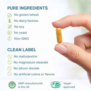 Igennus Advanced Curcumin C3 Complex, 300% Greater Absorption & Rapid Uptake, 95% Standardised Extract, 90 Servings, Clean Label, Vegan Supplement, 1-a-Day, 90 Capsules