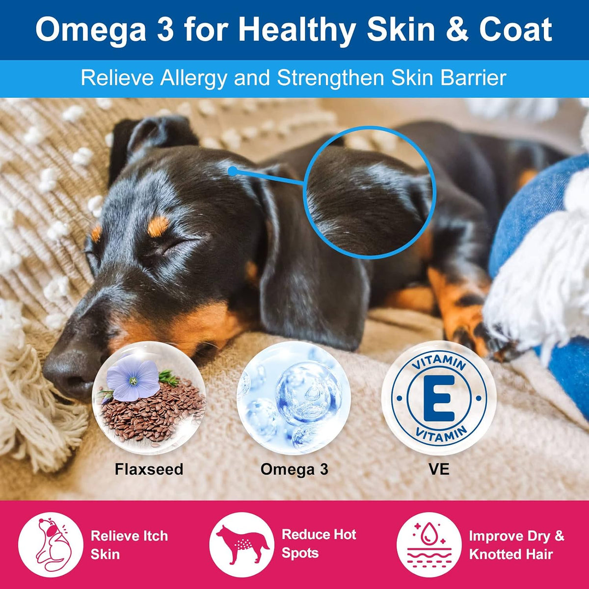 NATURE TARGET Dog Vitamins Powder, Probiotics & Digestive Enzymes for Gut Health, Glucosamine & Chondroitin & Omega 3, Complete Supplement for Homemade Dog Food, Joint & Skin & Immune Support - Probiotics & Digestive Enzymes for Gut Health, Glucosamine &