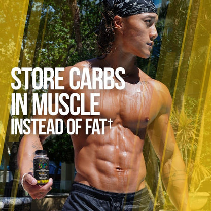 ALPHA LION Gains Candy, Supplement Pills that Support Weight Loss, Appetite Suppressant, Keto-Diet Friendly, Decrease Body Fat, Upgrade Energy & Workout Performance, 60 Capsules (MitoBurn)