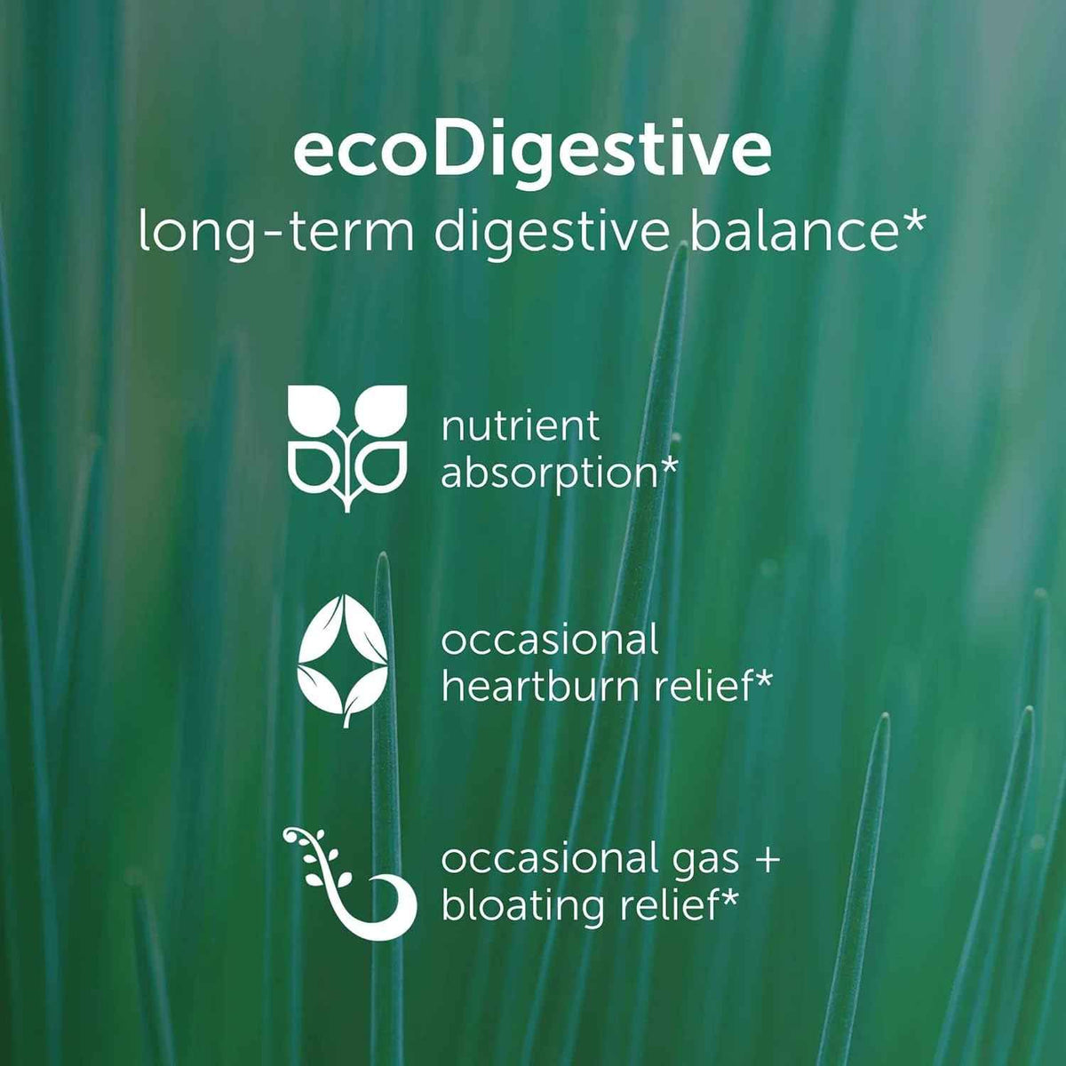 EcoNugenics EcoDigest Digestive Health Supplement - 60 Capsules- Digestive Support - Herbs, Medicinal Mushrooms & Enzymes