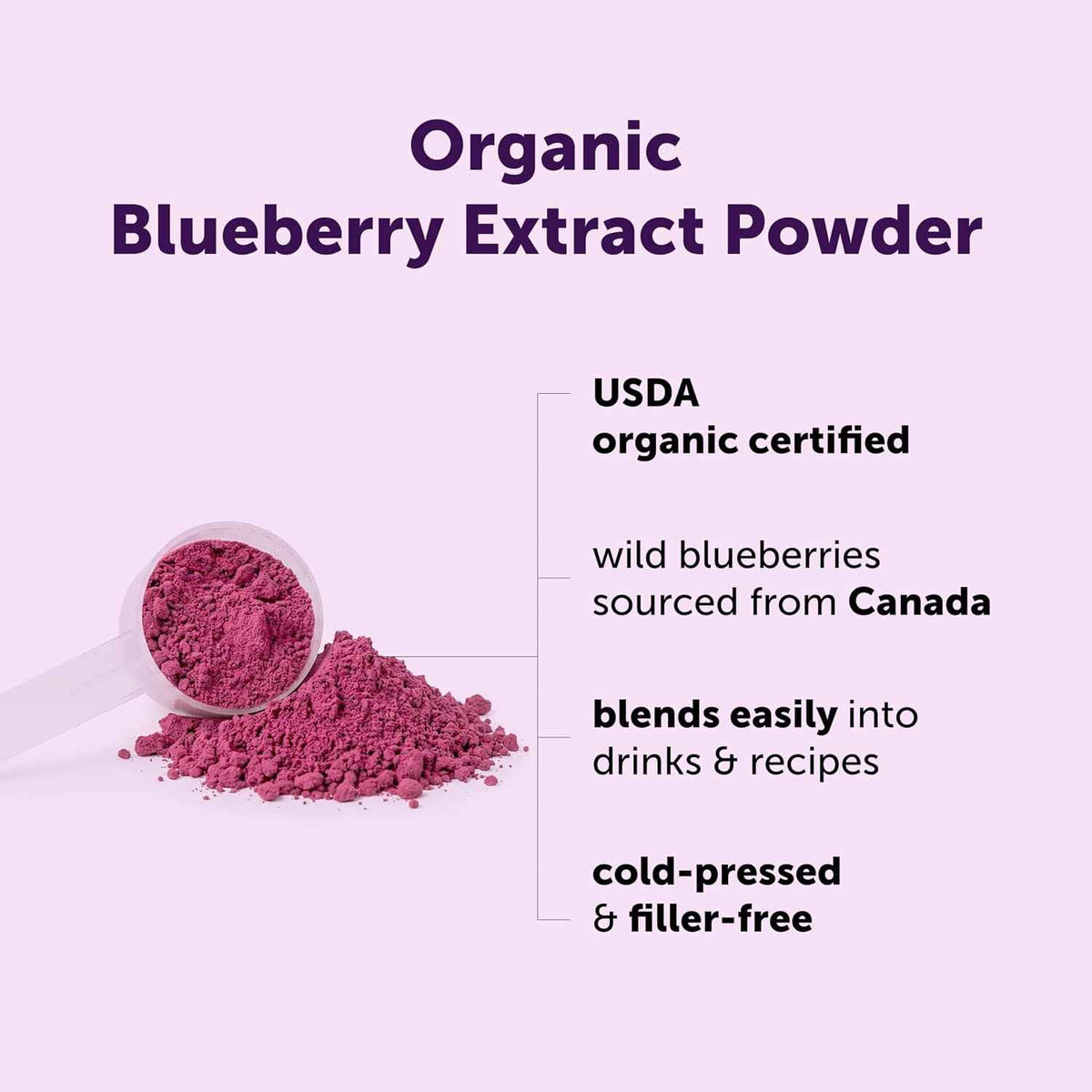 Micro Ingredients Organic Blueberry Extract Powder, 10oz - Natural Fruit Flavor - Freeze-Dried Wild Blueberries Source - No Sugar & Additives - Great for Drinks, Smoothie, & Beverages - Non-GMO & Vegan