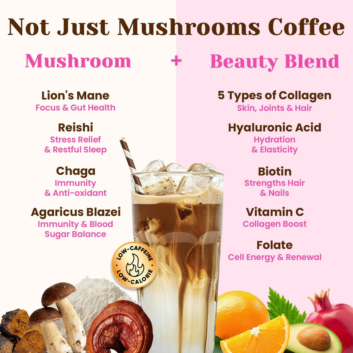 Venture Pal Mushroom Coffee, 12 Mushrooms, Focus & Digestion, 40 Servings - 12 Adaptogenic Mushrooms with Lion's Mane, Cordyceps, Reishi, Turkey Tail, Ashwagandha & Probiotics, Low Caffeine & Calories