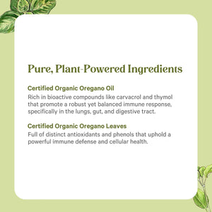 PURE SYNERGY SuperPure Oregano Extract - Oregano Oil Extract Capsules - Organic Oil and Leaf Supplement - for Immune, Digestive, and Respiratory Health (60 Capsules)