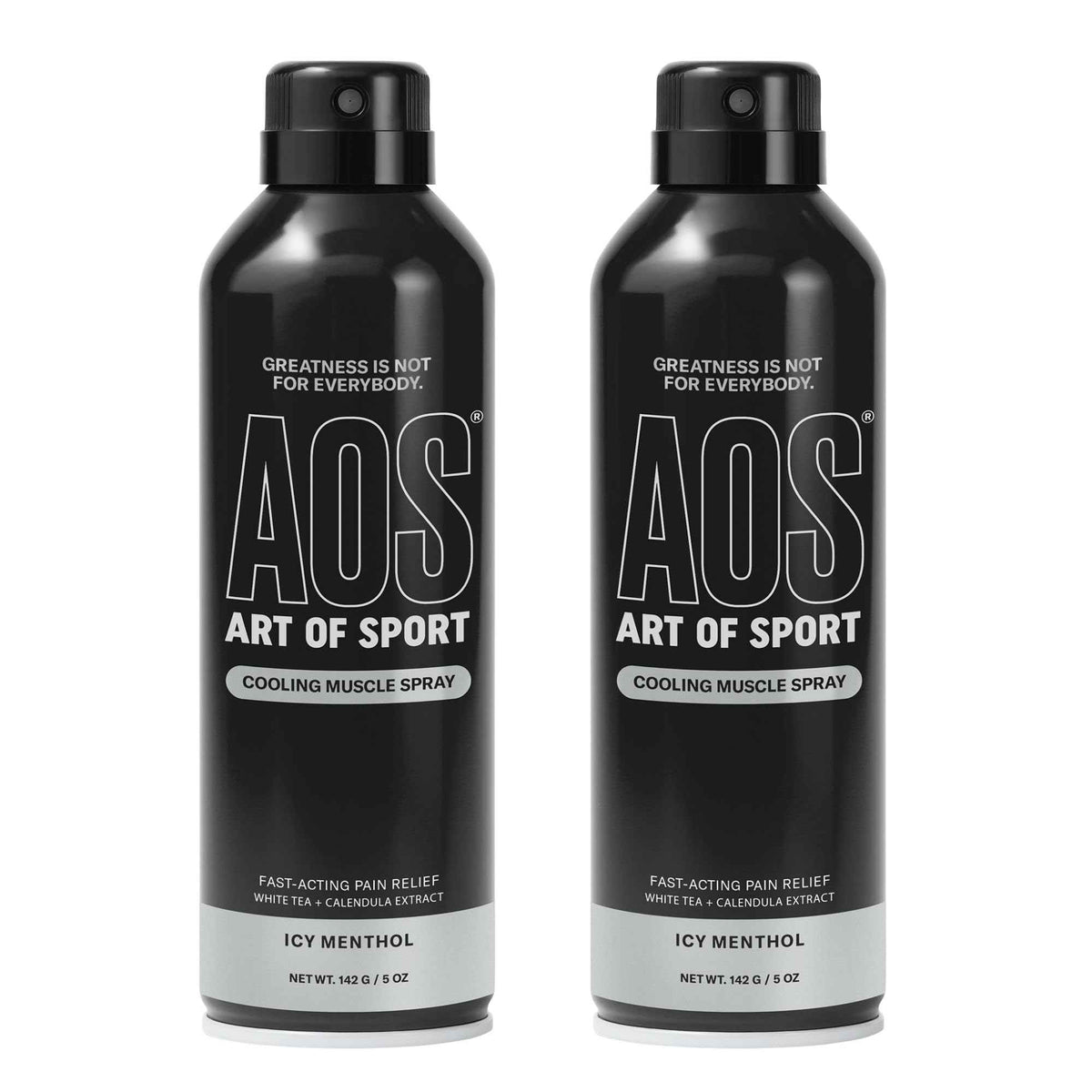 Art of Sport Muscle Relief Spray for Men - Cooling Menthol Pain Relief for Sore Muscles & Joints - Back, Neck, Knee, Shoulder, Hip - Fast-Acting Body Spray - Made for Athletes - 5 fl oz (2-Pack)
