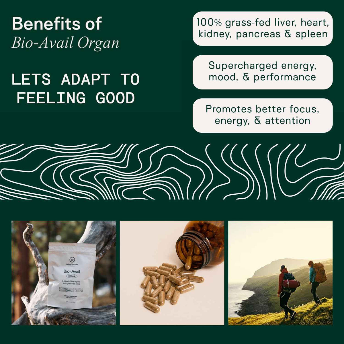 Adapt Naturals Organ Supplement, Bioavailable Grass Fed Beef Liver Capsules, Blend of Liver, Heart, Kidney, Pancreas & Spleen, Support Liver Cleanse Detox & Repair - Source of CoQ10-30 Days Supply