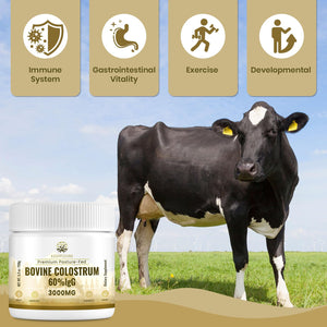 Kroppssund Bovine Colostrum Powder Supplement 3000 mg - Extra High 60% IgG Bovine Colostrum - Gut, Bone, Exercise, Immune - 50 Servings (1 Bottle) KroppssundBuy Supplements Australia