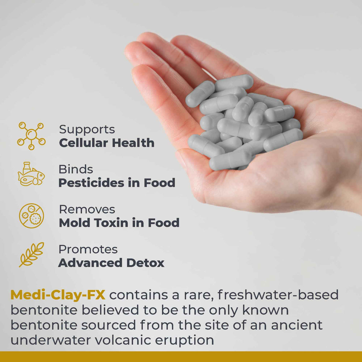 Premier Research Labs Medi-Clay-FX: Bentonite Clay Capsules for Detoxification - Food Grade Smectite Supplement - Absorb Toxins, Supports Cellular Health and Mold Detox - 90 Capsules
