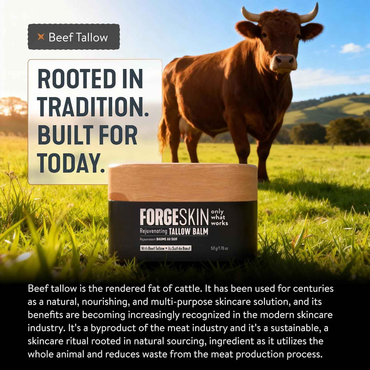 Forge Skin Wrinkle Defense Beef Tallow Balm for Men [TALLOW-BASED] Moisturizer for Face Hydration - Hydrating Anti Aging Skin Cream