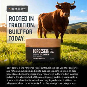 Forge Skin Wrinkle Defense Beef Tallow Balm for Men [TALLOW-BASED] Moisturizer for Face Hydration - Hydrating Anti Aging Skin Cream