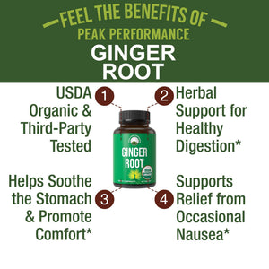 USDA Organic Ginger Root Extract Liquid Drops. Zero Sugar, Non Bitter Vegan Ginger Oil Supplement for Immune, Digestive + Gut Support. High Bioavailability, Gluten Free for Women and Men. Take Orally