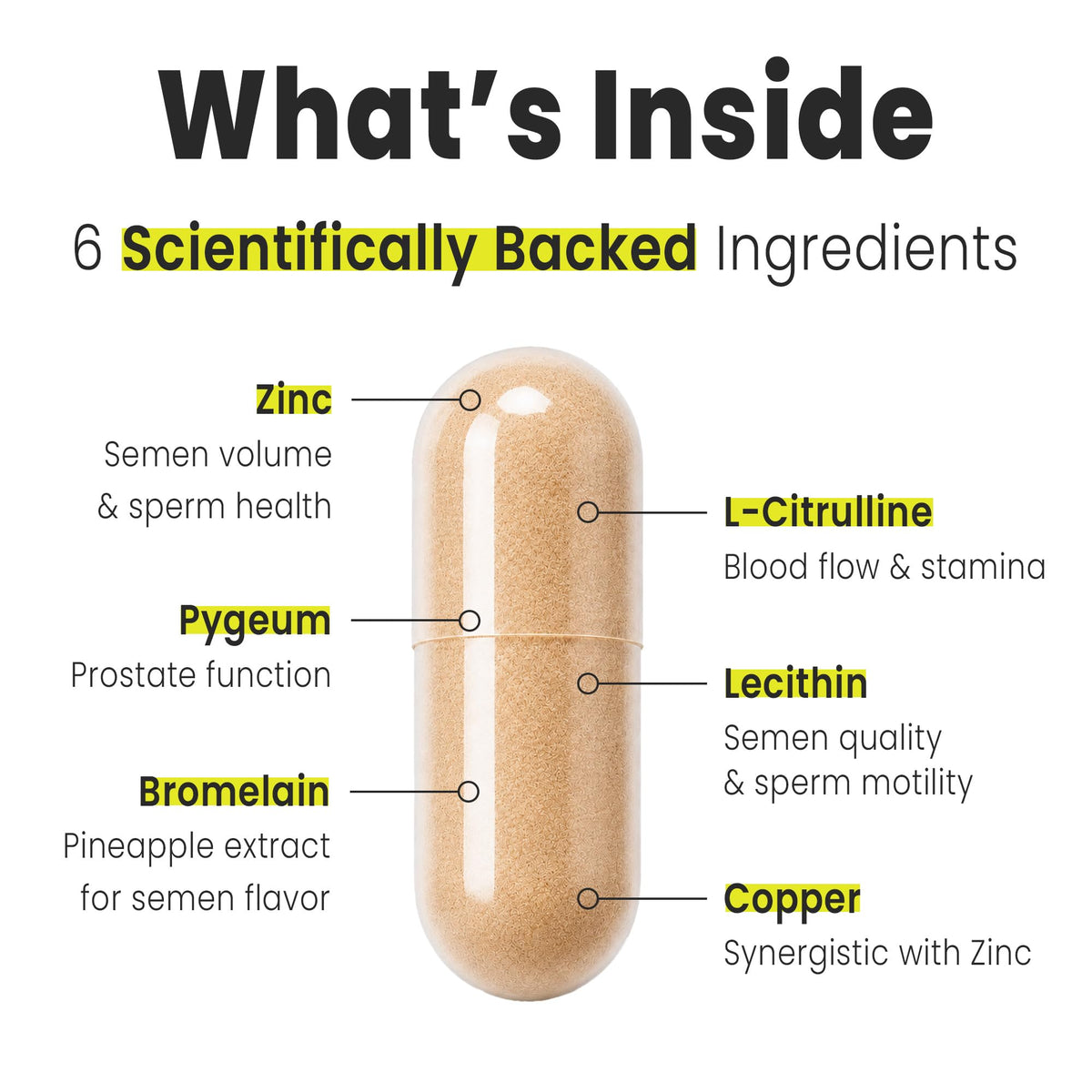VB Health Load Boost® Semen Volume Booster for Men - Daily Men's Semen Health & Fertility Supplement - Lecithin, Pygeum, L-Citrulline, Zinc, Copper & Bromelain - 120 Capsules (1 Month Supply)
