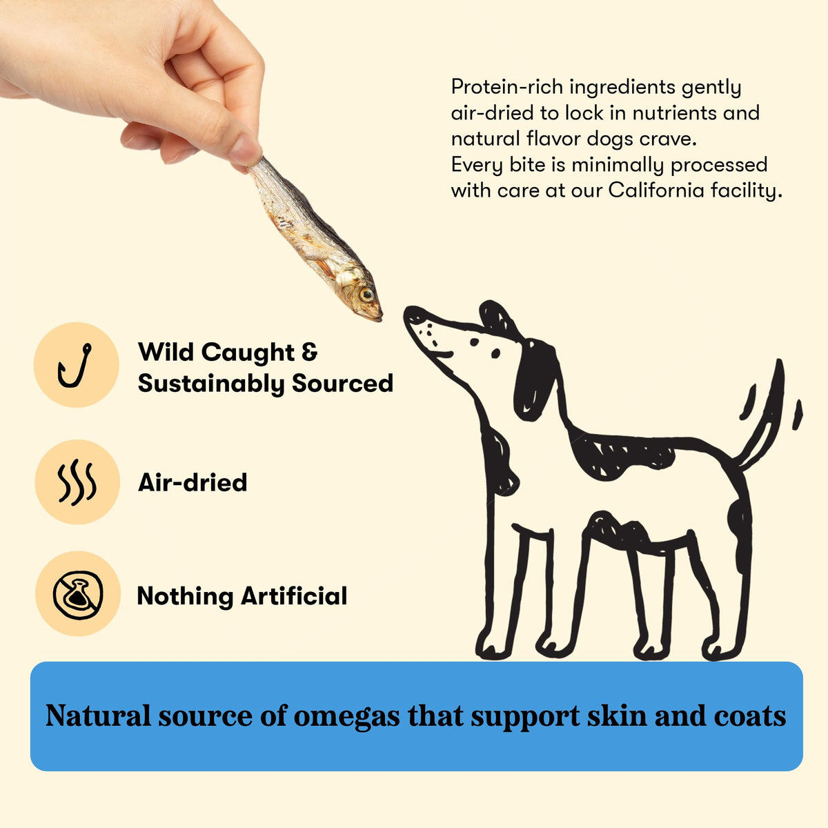 Plato Single Ingredient Wild-Caught Baltic Herring Dog - 8.5 oz