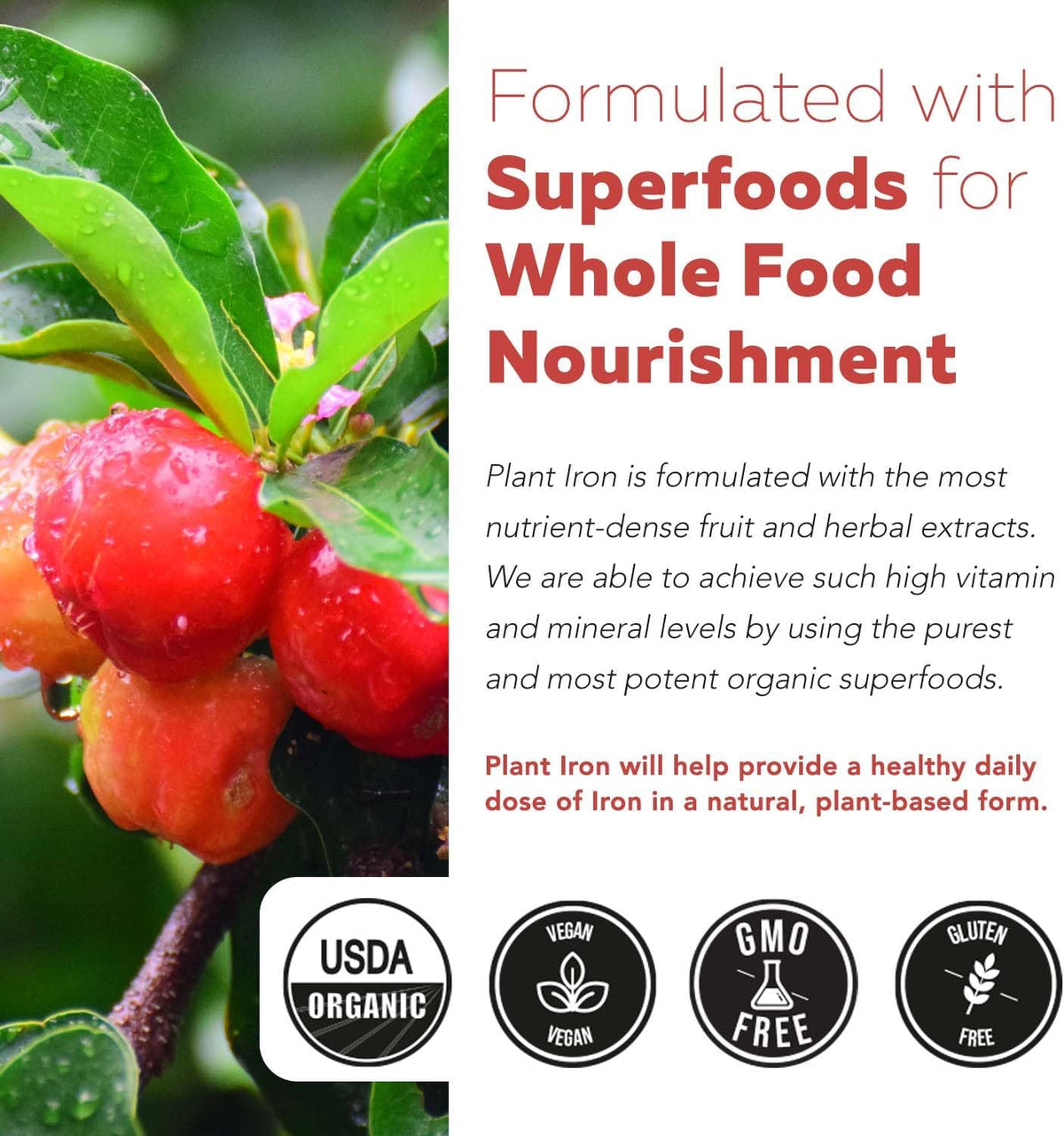 Organic Iron Supplement - Whole Food Mineral & Cofactors, 25 mg Elemental - Enhanced Absorption Plus Blood Health Vitamins - Gentle Form - Supports Healthy Levels & Blood Health - 90 Capsules