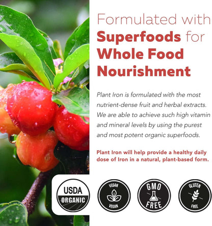 Organic Iron Supplement - Whole Food Mineral & Cofactors, 25 mg Elemental - Enhanced Absorption Plus Blood Health Vitamins - Gentle Form - Supports Healthy Levels & Blood Health - 90 Capsules