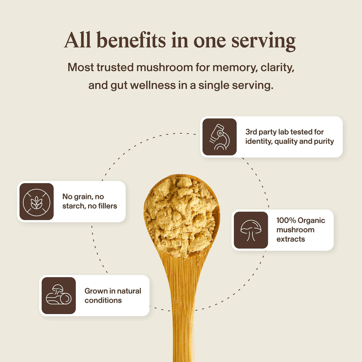 Real Mushrooms Lions Mane Mushroom Cognition (120 Capsules) Lions Mane Mushroom Powder Extract Capsules - Brain Supplement, Brain Vitamins, Focus Supplement