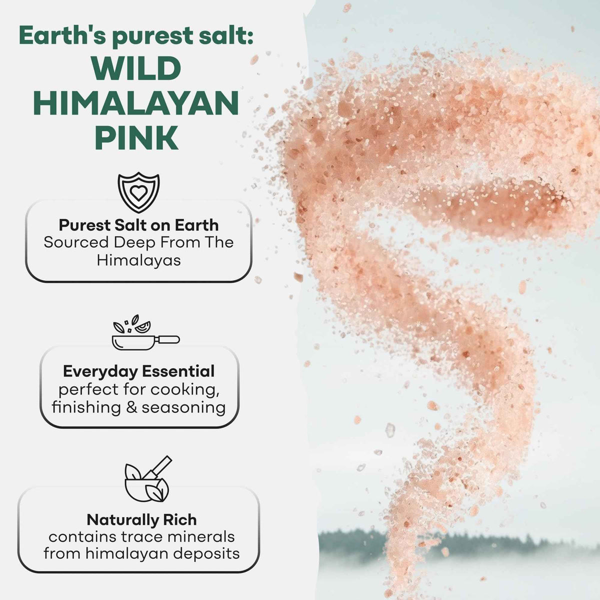 Wild Foods Pink Himalayan Salt, Fine Ground for Table and Cooking, 16 oz - 100% Real, Pure, Unrefined - Pink Himalayan Sea Salt with 80+ Minerals & Electrolytes, Small Batch, Ethically Sourced