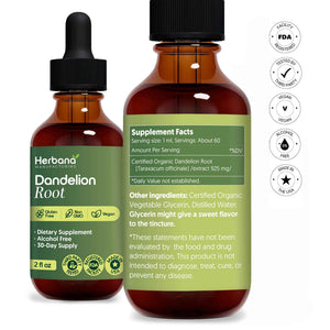 Dandelion Root 2 fl oz Liquid Extract - Natural Herbal Supplement for Cleansing, Digestive Function & Immunity - Organic Taraxacum officinale - Family Size