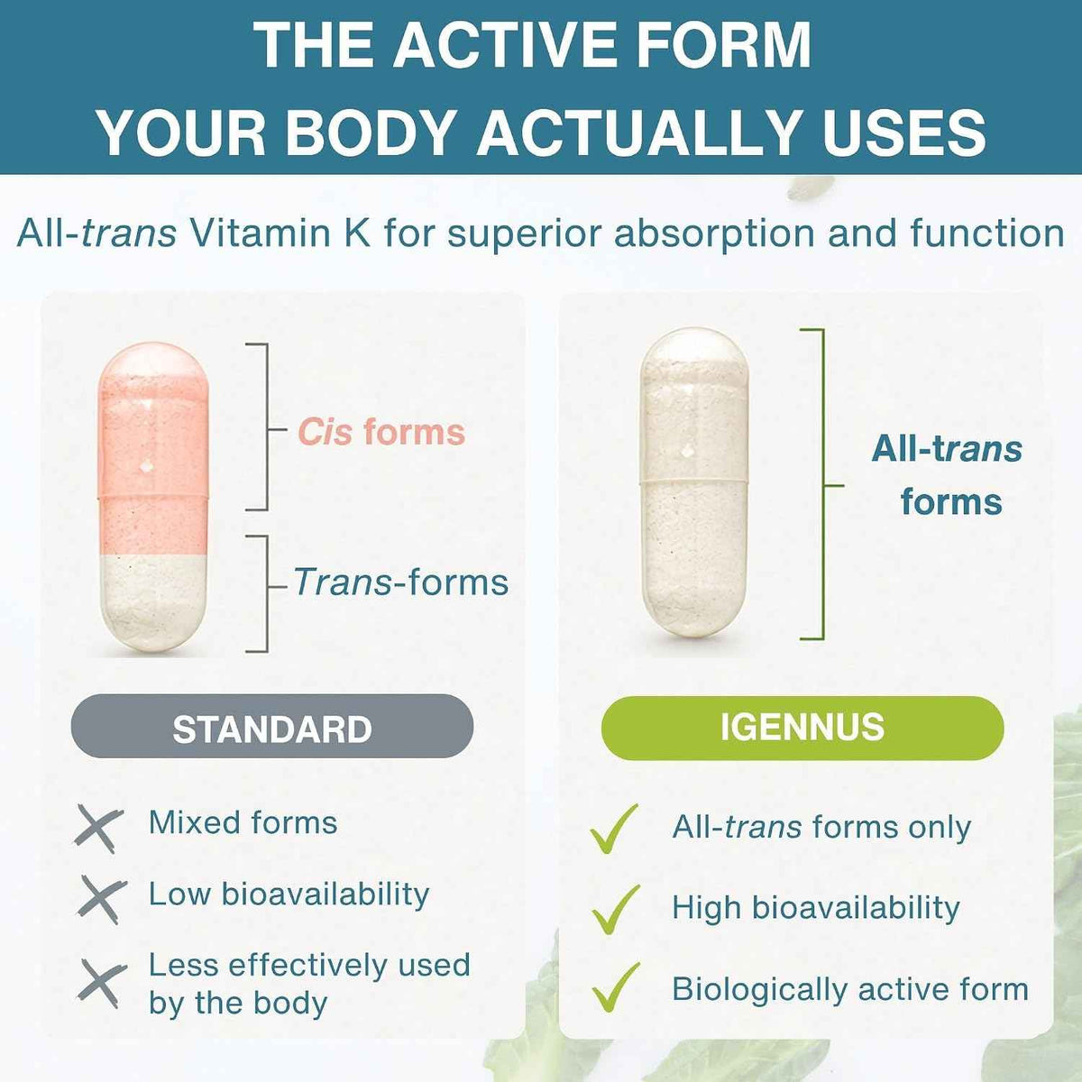 Igennus High Potency Vitamin K Complex, K1 & K2 (MK-4 & MK-7), 90 Capsules - All Trans Bioactive Form for Superior Bone & Cardiovascular Support, 1-a-Day, Clean Label, Vegan