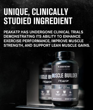 Jacked Factory Essentials Muscle Builder - ATP Muscle Builder for Men with Peak ATP to Support Muscle Gain, Enhance Athletic Performance, & Increase Strength - 30 Capsules Jacked FactoryBuy Supplements Australia