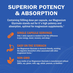 Magnesium Glycinate - High Absorption Magnesium Supplement 500mg Per Serving for Stress Relief, Sleep, Heart and Bone Health, Nerve Support - Non-GMO, Gluten-Free, Gentle on Stomach, 240 Capsules GOODBIOBuy Supplements Australia