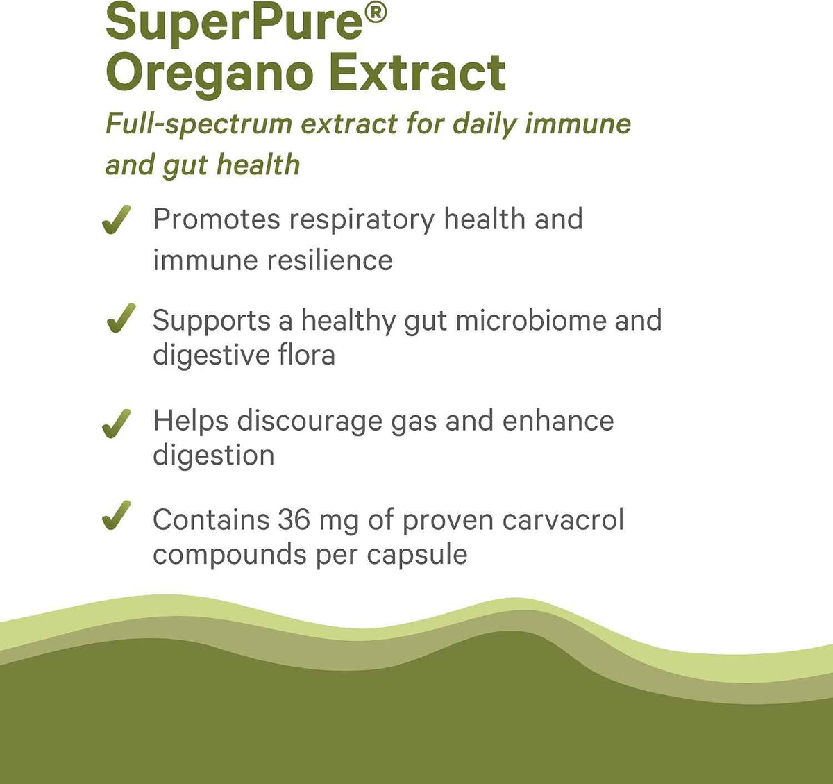 PURE SYNERGY SuperPure Oregano Extract - Oregano Oil Extract Capsules - Organic Oil and Leaf Supplement - for Immune, Digestive, and Respiratory Health (60 Capsules)