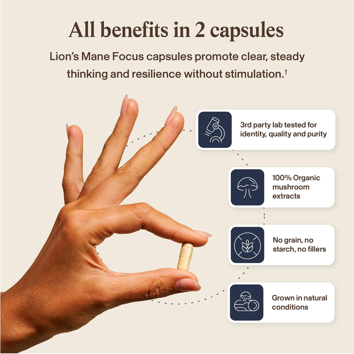 Real Mushrooms Lions Mane Mushroom Cognition (120 Capsules) Lions Mane Mushroom Powder Extract Capsules - Brain Supplement, Brain Vitamins, Focus Supplement