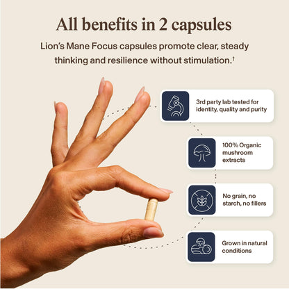 Real Mushrooms Lions Mane Mushroom Cognition (120 Capsules) Lions Mane Mushroom Powder Extract Capsules - Brain Supplement, Brain Vitamins, Focus Supplement