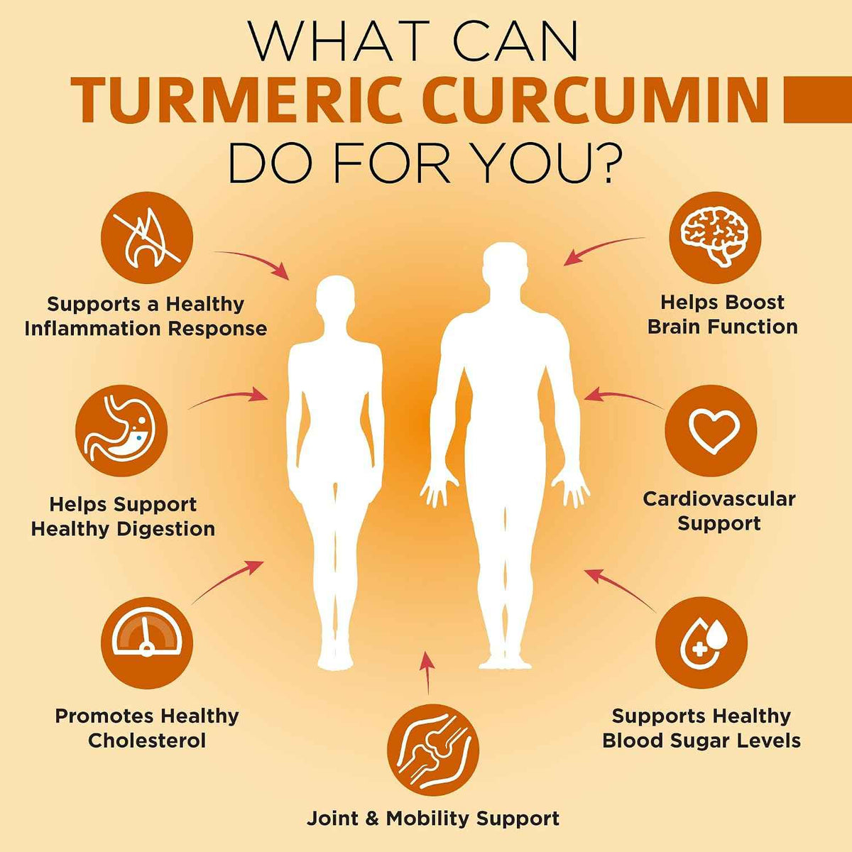 OmniBiotics Organic Turmeric Curcumin Supplement with Black Pepper Extract - 1500mg Turmeric with 95% Curcuminoids & BioPerine, High Absorption for Joint Support - 120 Vegan Capsules