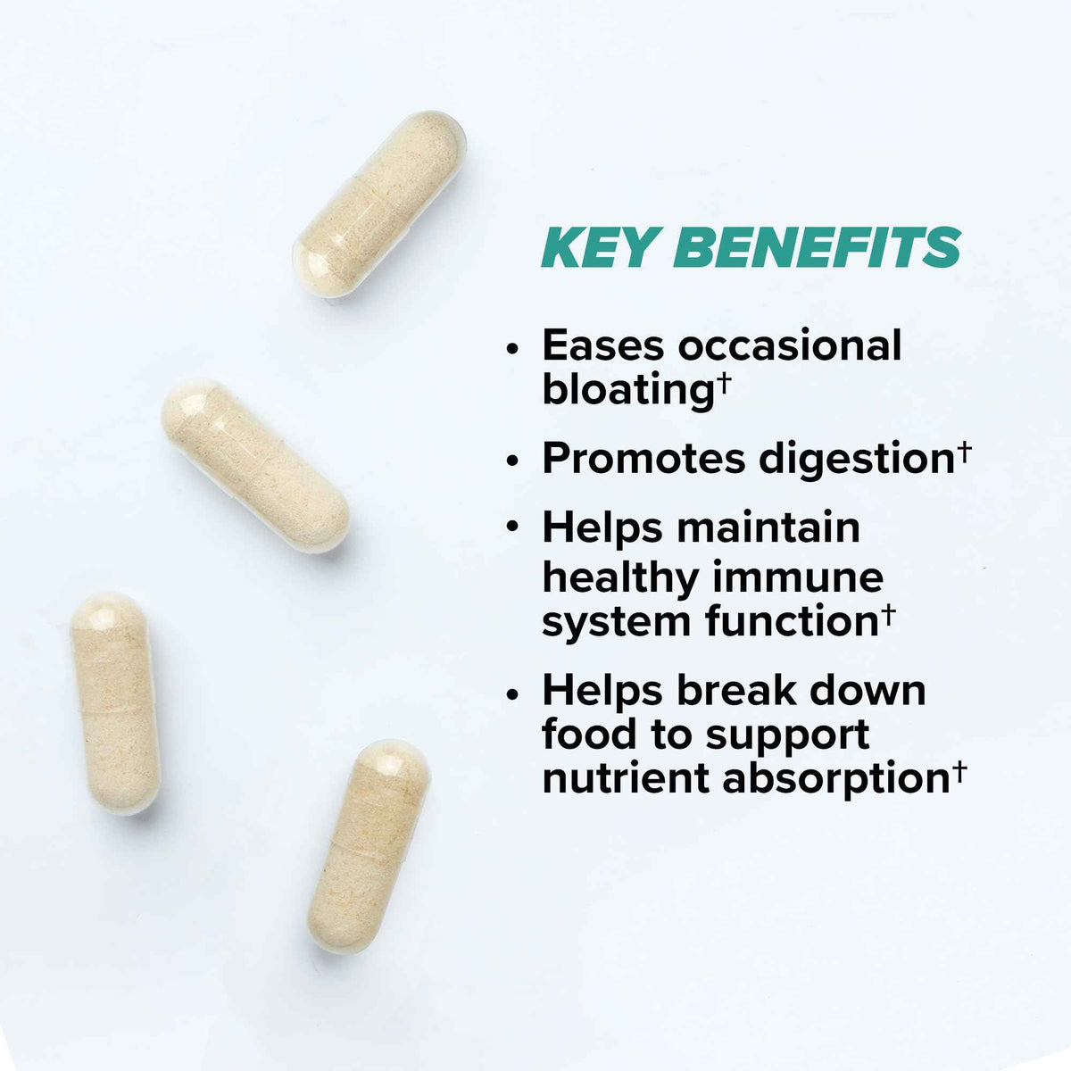 ONNIT Total Gut Health Daily Digestive Support, IGEN Non-GMO Tested Digestion Supplement for Women and Men with 7 Strains of Probiotics, Prebiotics