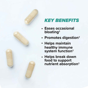 ONNIT Total Gut Health Daily Digestive Support, IGEN Non-GMO Tested Digestion Supplement for Women and Men with 7 Strains of Probiotics, Prebiotics
