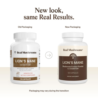 Real Mushrooms Lions Mane Mushroom Cognition (120 Capsules) Lions Mane Mushroom Powder Extract Capsules - Brain Supplement, Brain Vitamins, Focus Supplement