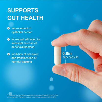 Life-Space Shape B420™ Probiotics, Clinically Studied Strains, Supplement for Women and Men