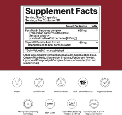 The Absorption Company Berberine, 60 Capsules, Enhanced Absorption - Bioavailable & Sustained Release, Liposomal, Stack with WLP-1