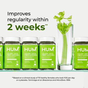 HUM Celery Juice Fiber Gummies for Adults, First Prebiotic Celery Juice Gummy, Gluten Free Fiber Supplement Supports Detoxification, Gut Health, Greens Gummies, Chlorophyll & Prebiotic Fiber, 60 Count HUMBuy Supplements Australia