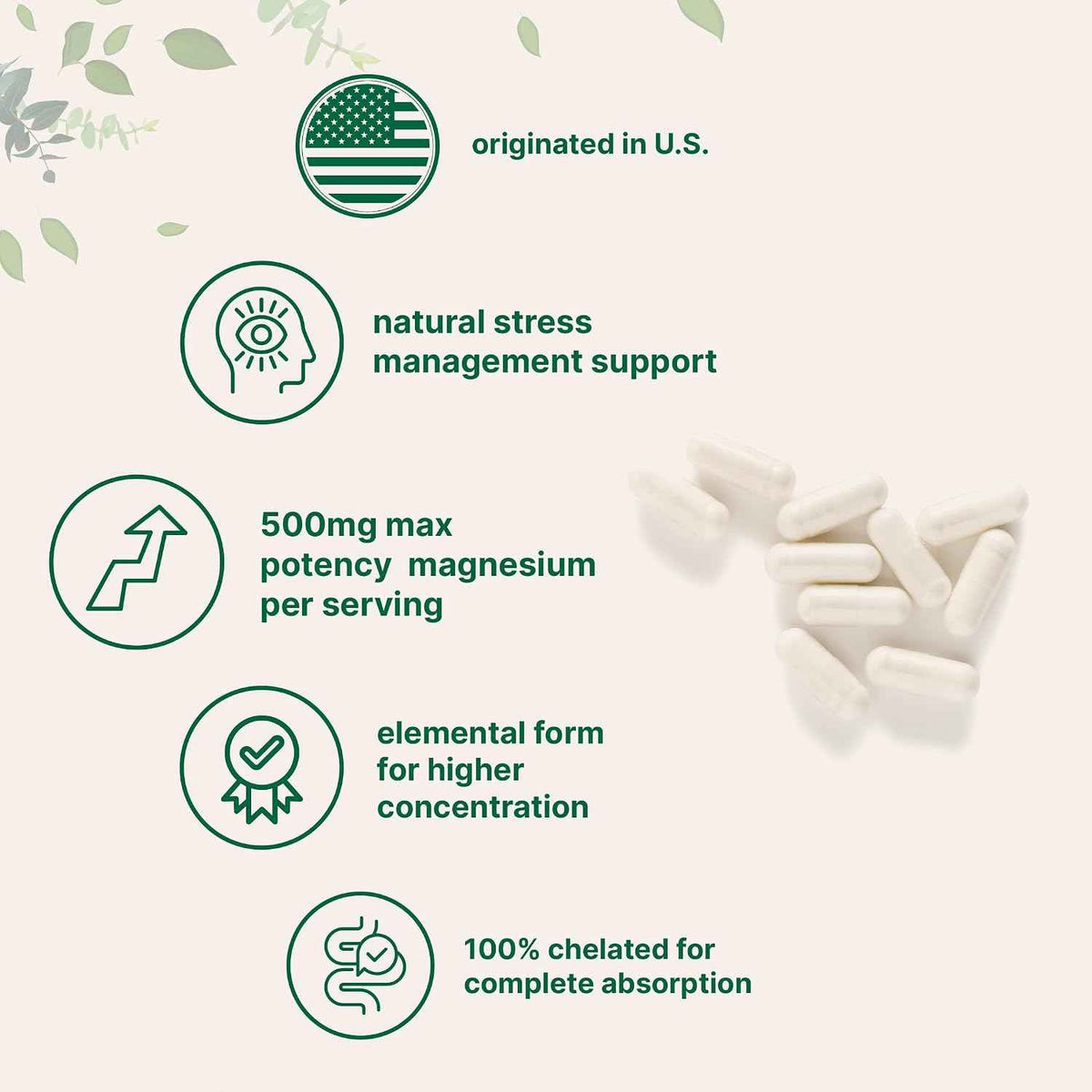 Micro Ingredients Magnesium Glycinate 500mg Per Serving, 240 Capsules - Potent Elemental Form, Chelated, High Absorption - Healthy Muscle, Bones, & Mood Support Supplement - Non-GMO