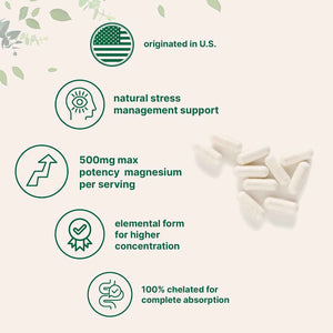 Micro Ingredients Magnesium Glycinate 500mg Per Serving, 240 Capsules - Potent Elemental Form, Chelated, High Absorption - Healthy Muscle, Bones, & Mood Support Supplement - Non-GMO