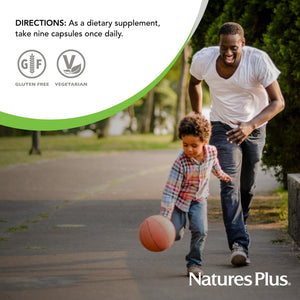 NaturesPlus Source of Life - 180 Capsules - Multivitamin & Mineral Supplement - Supports Natural Energy & Overall Well-Being - Gluten Free, Vegetarian - 20 Servings NaturesPlusBuy Supplements Australia
